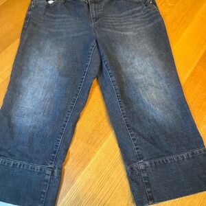 Apt. 9 Dark Blue Capris Size 18W